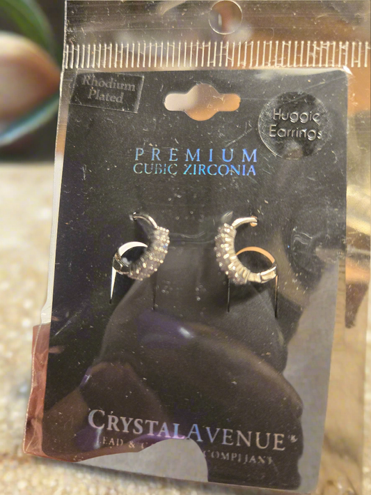 Pretty Huggie Earings
